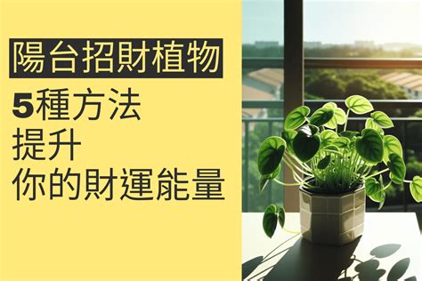 植栽 風水|前陽台招財植物大全！15 種適合陽台的植物助你財源。